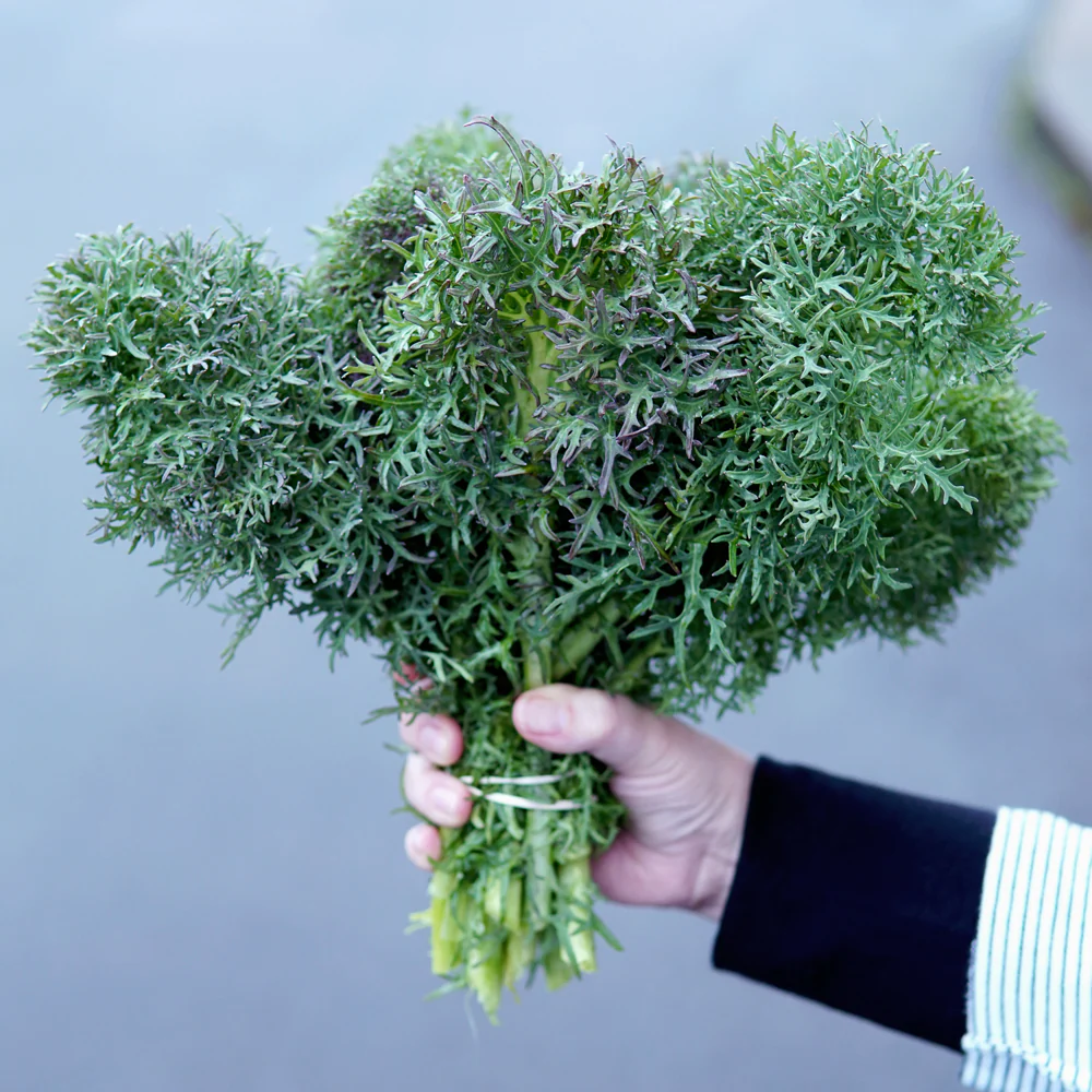 Siber Frills Kale - Image 2