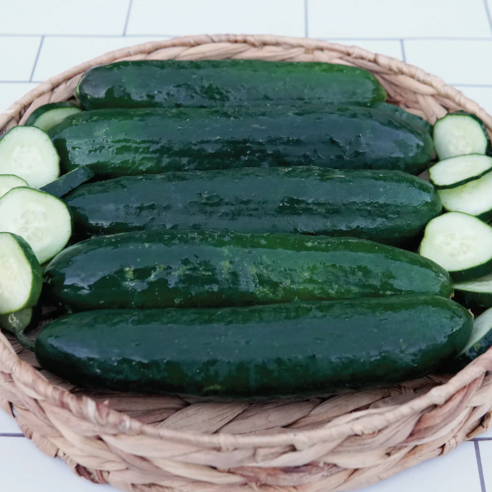 Slice More Cucumber - Image 2