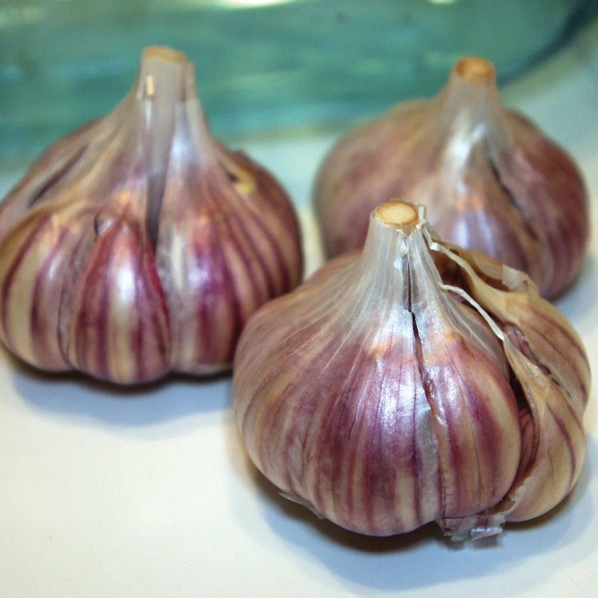 Spanish Roja Garlic - Image 3