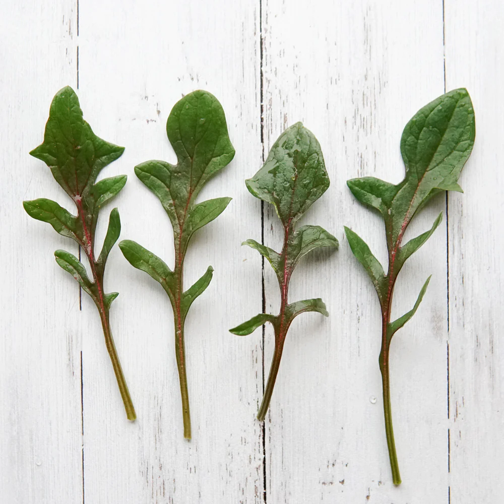 Red Snapper Spinach - Image 2