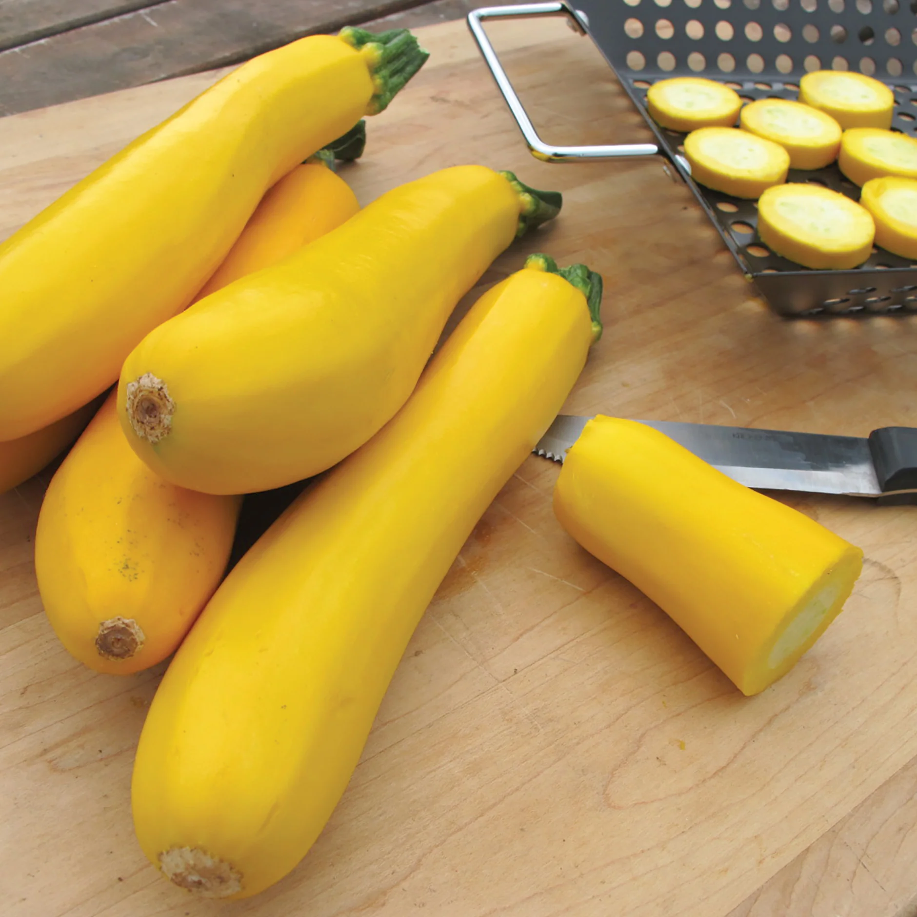 Easy Pick Gold II Summer Squash - Image 2