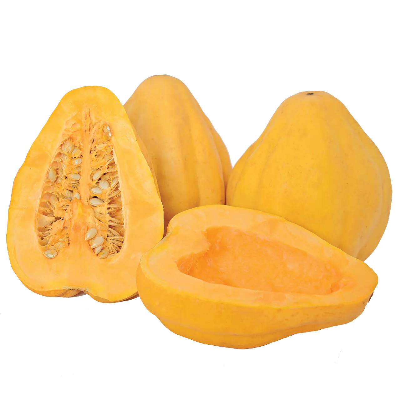 Thelma Sanders' Sweet Potato Winter Squash - Image 2