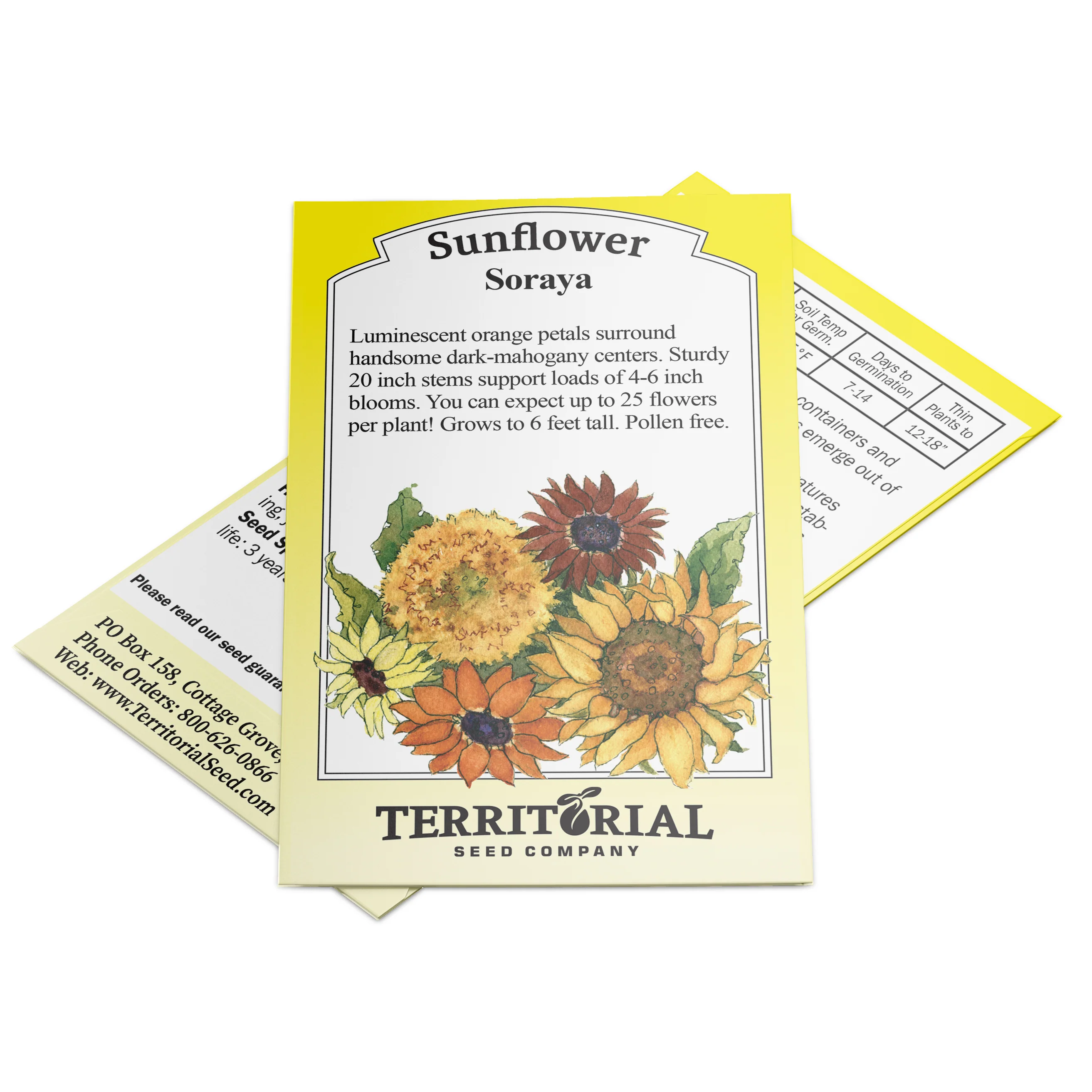 Soraya Sunflower - Image 2
