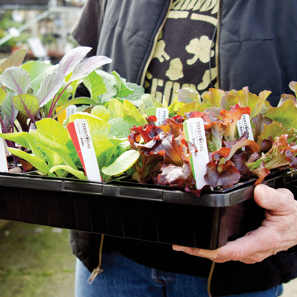 Sunpack® Mega Color I.D. Tray
