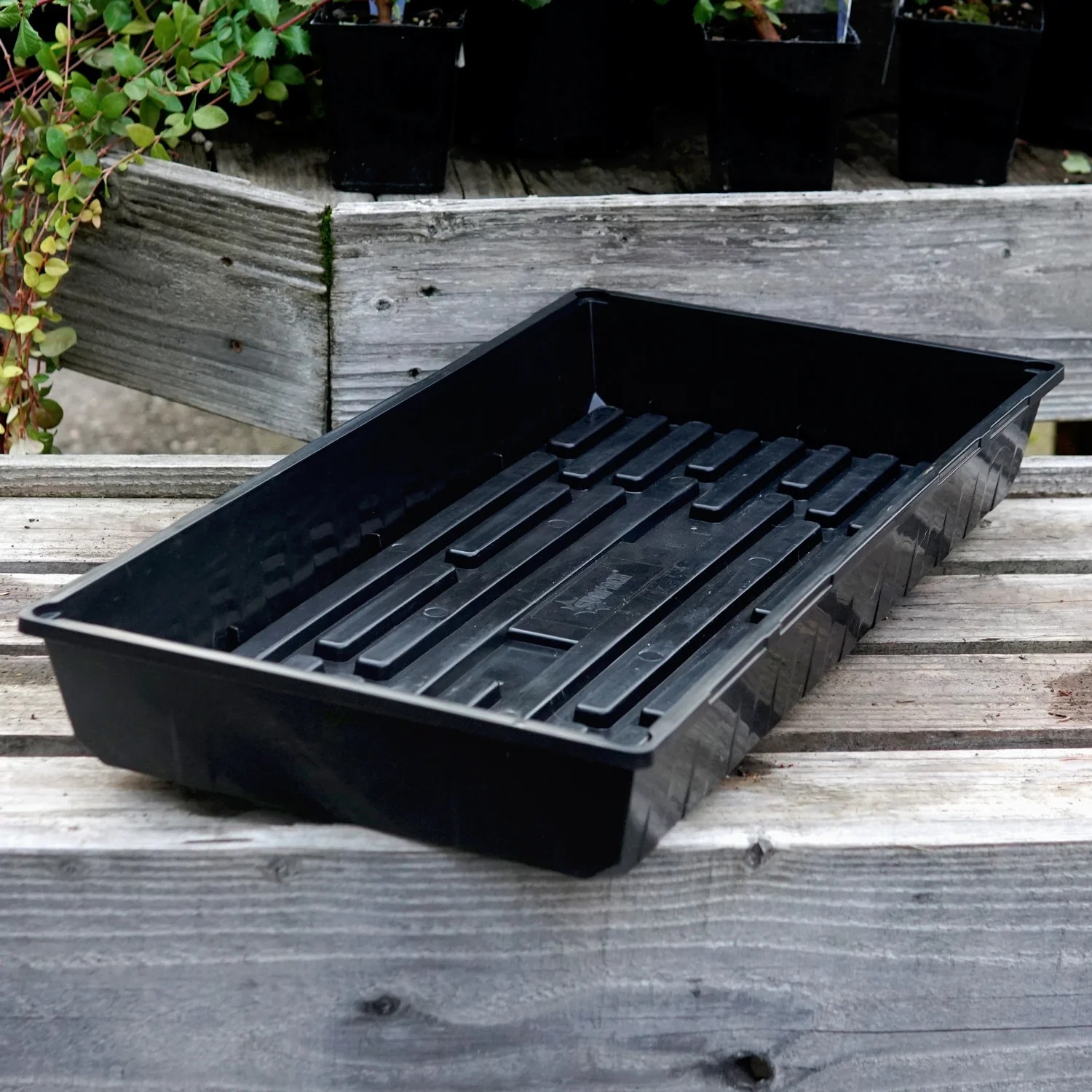 Sunpack® Mega Color I.D. Tray - Image 4