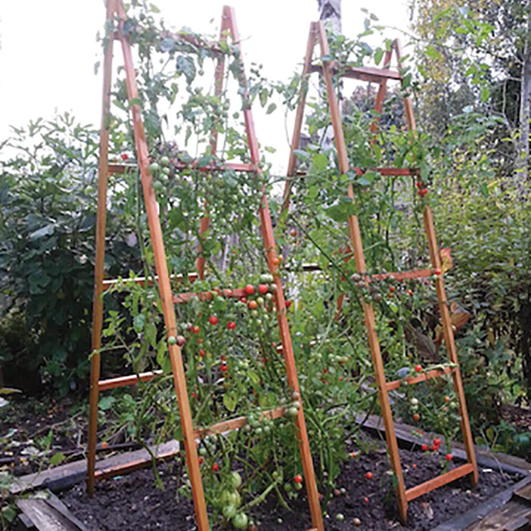 Vegetable Trellises - Image 3