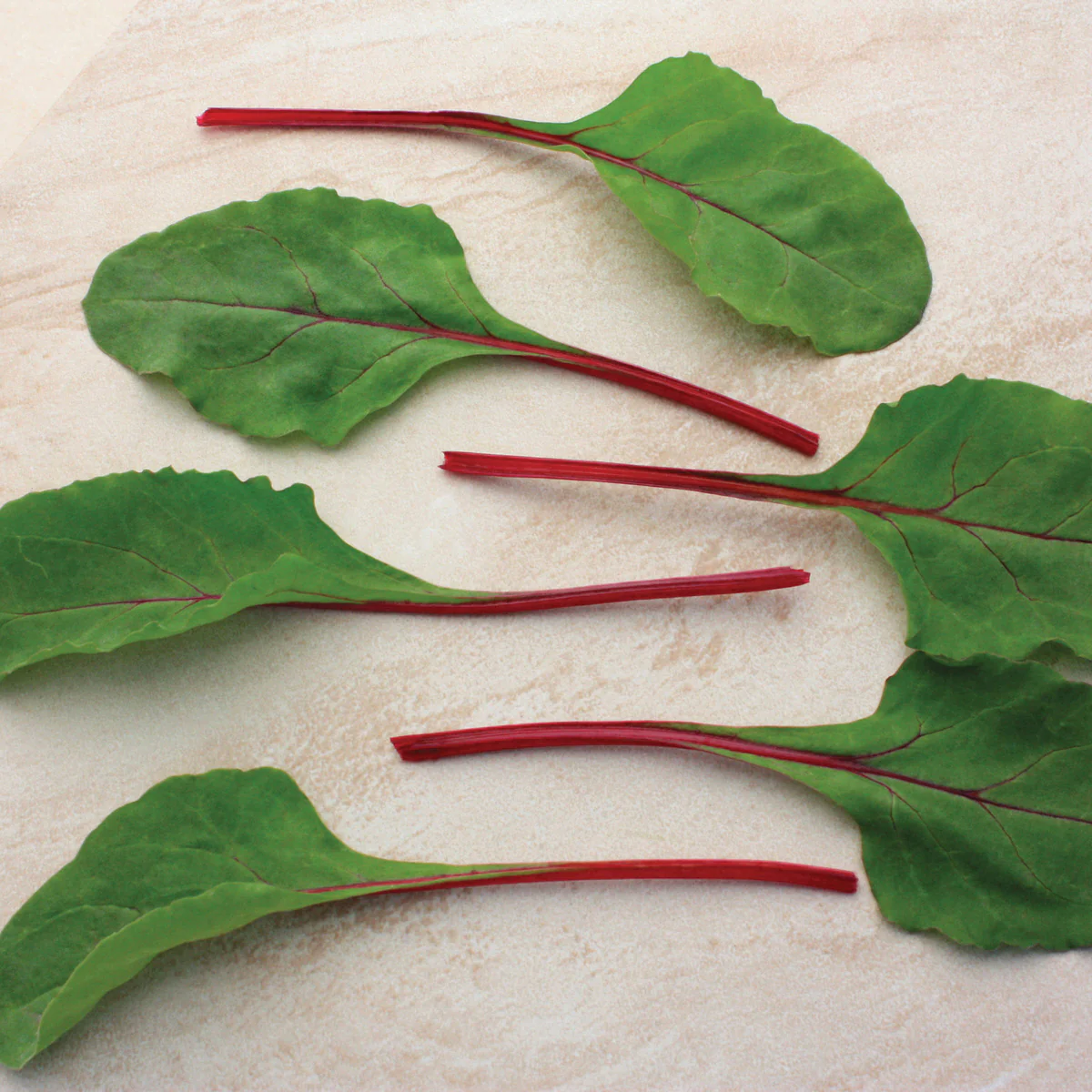 Fire Fresh Swiss Chard - Image 3