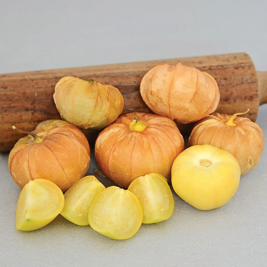 Mexican Strain Tomatillo