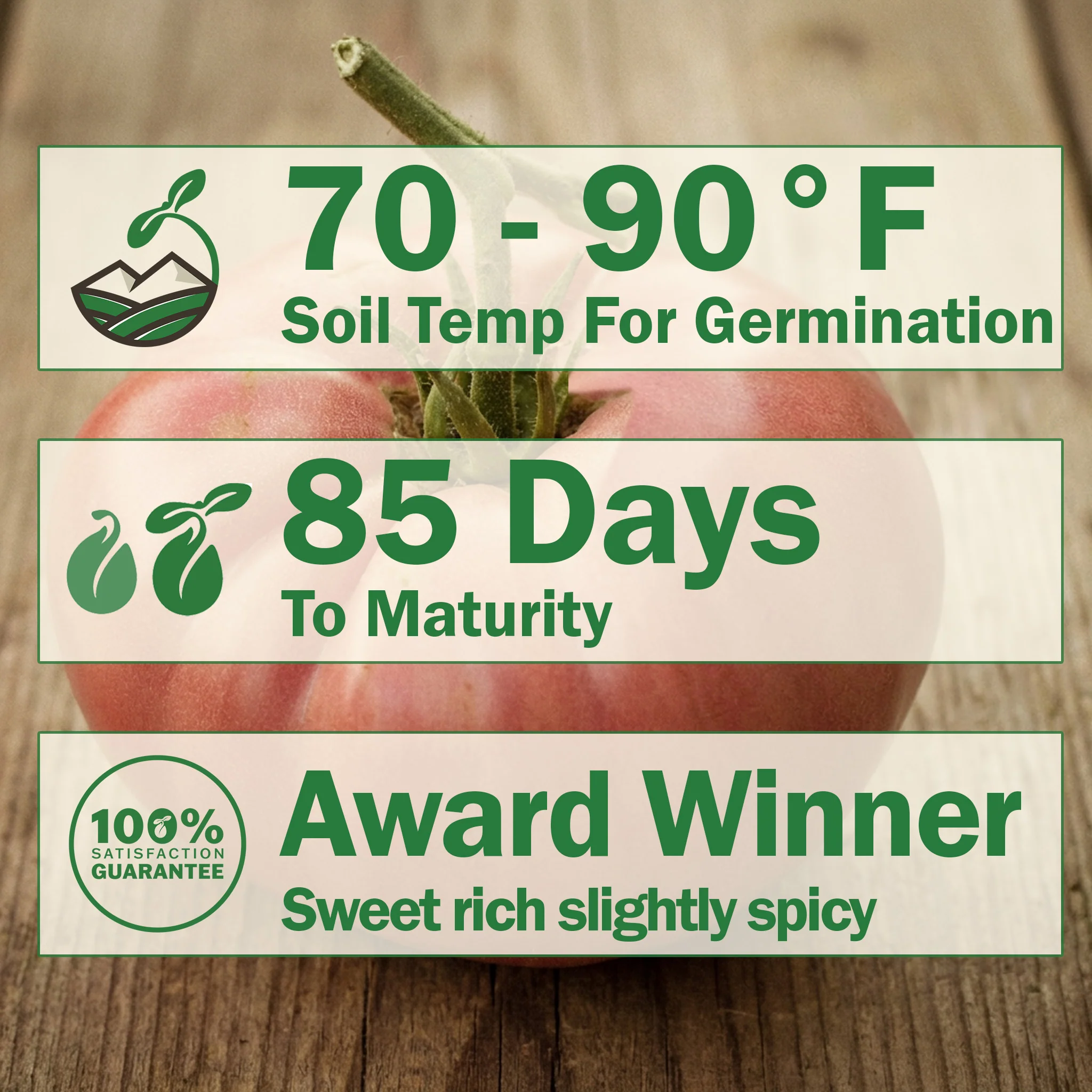 Brandywine Tomato - Image 2