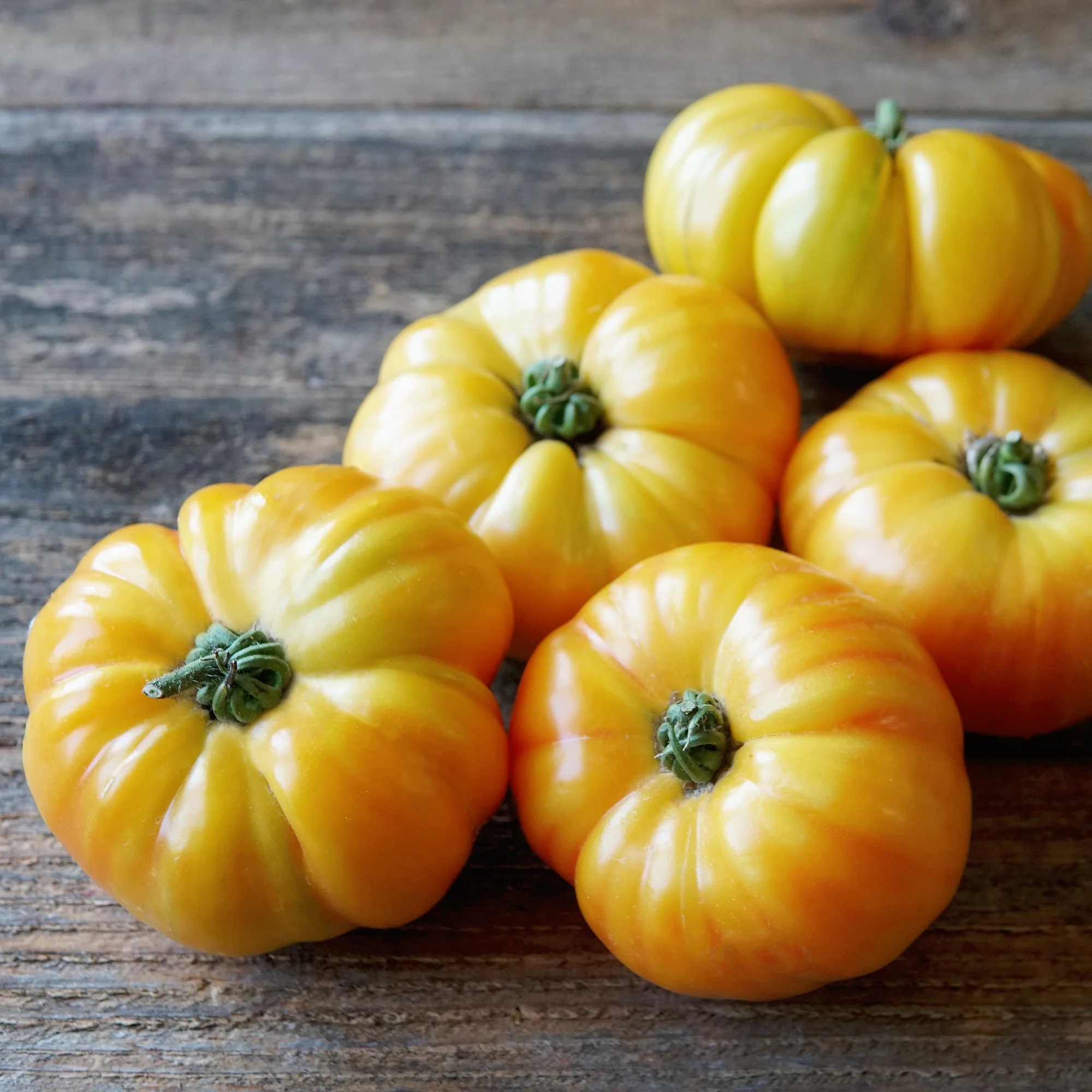 Buffalosun Tomato - Image 3