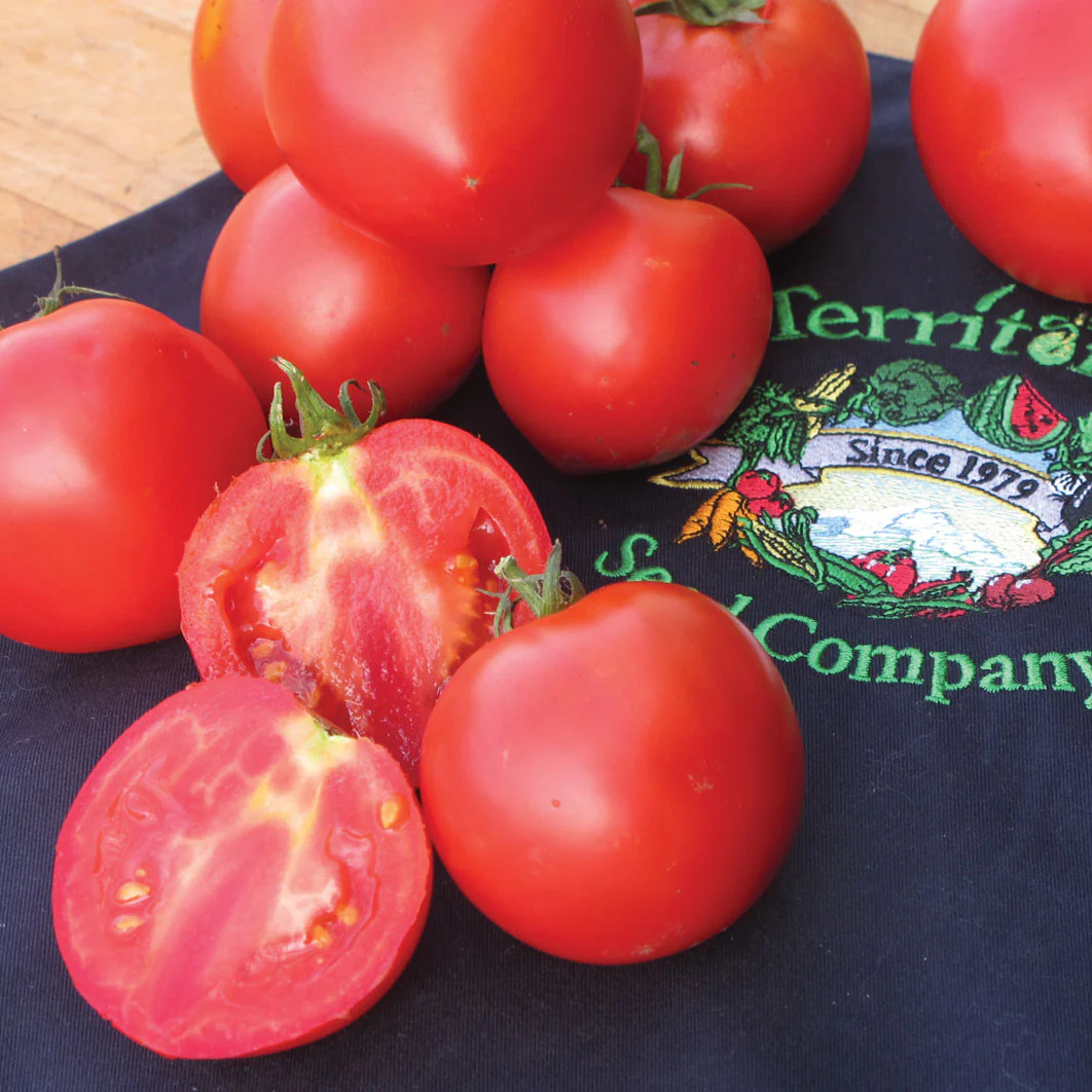 Cobra Tomato - Image 3