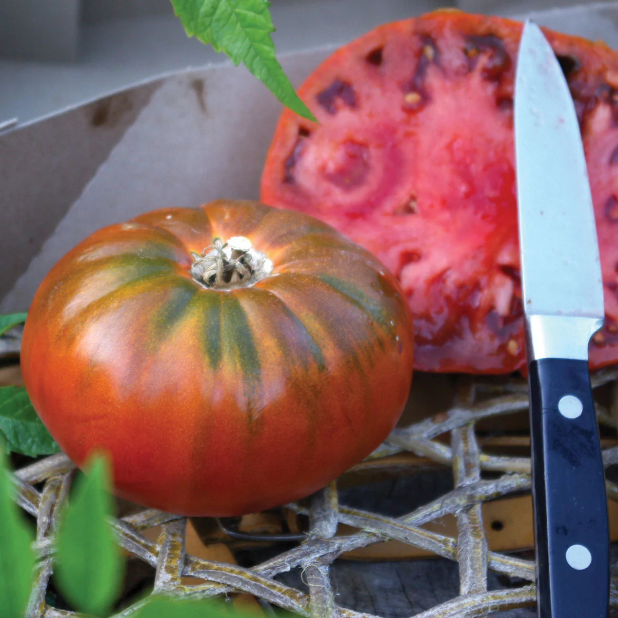Cosmonaut Volkov Tomato - Image 3