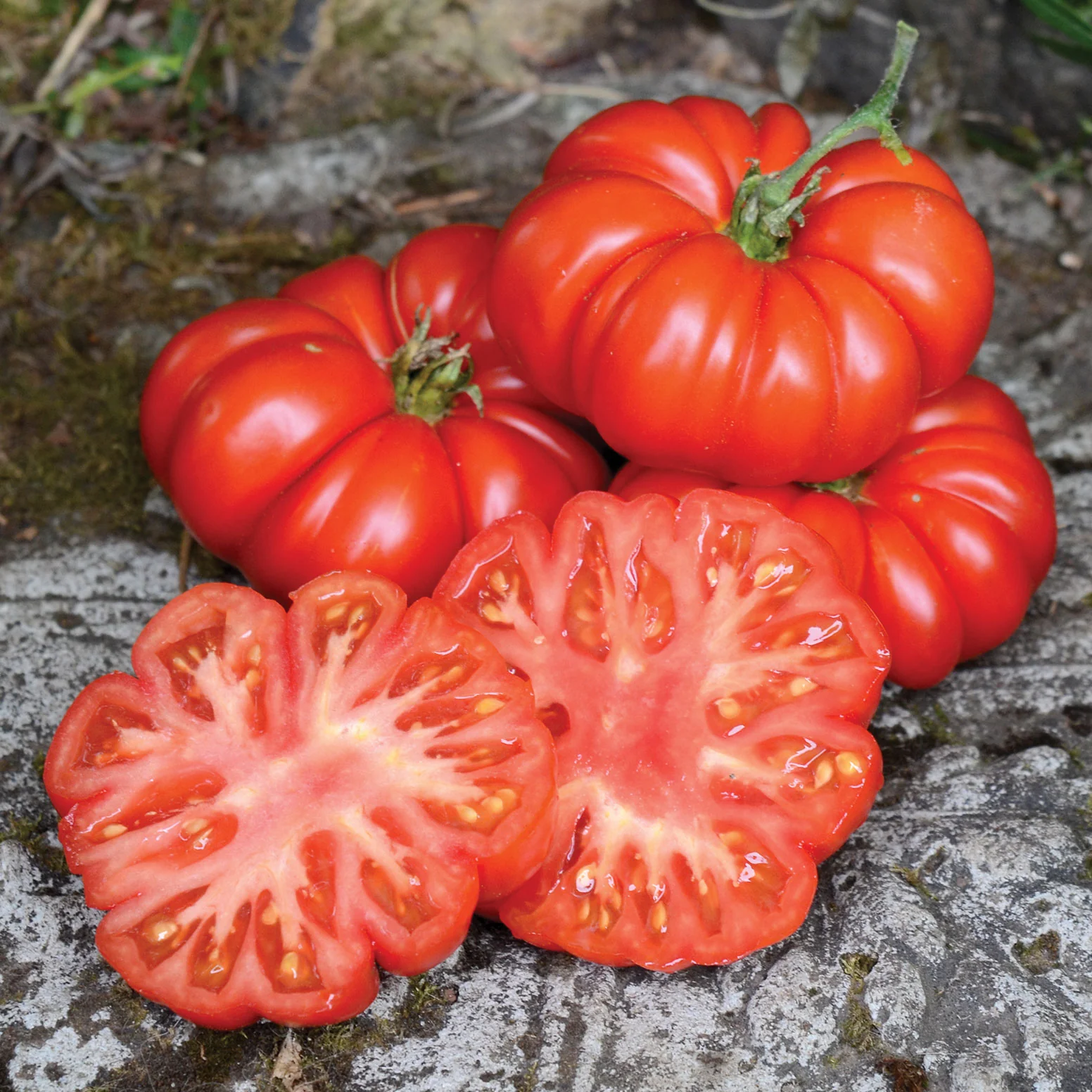 Costoluto Fiorentino Tomato