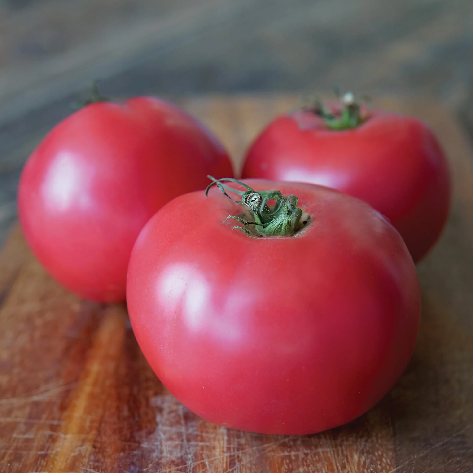 Damsel Tomato