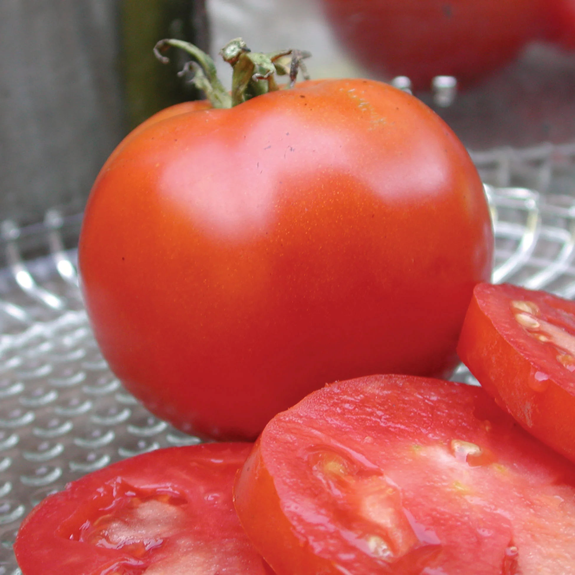 Gill's All-Purpose Tomato - Image 3