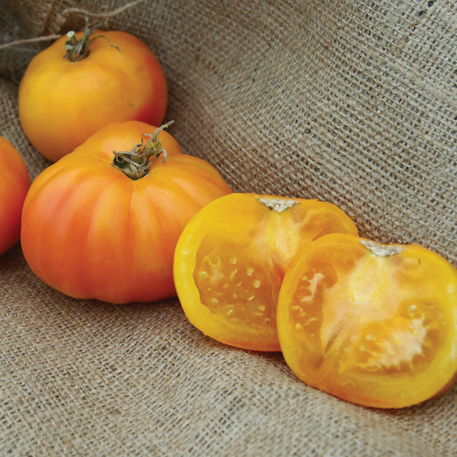 Hillbilly Tomato