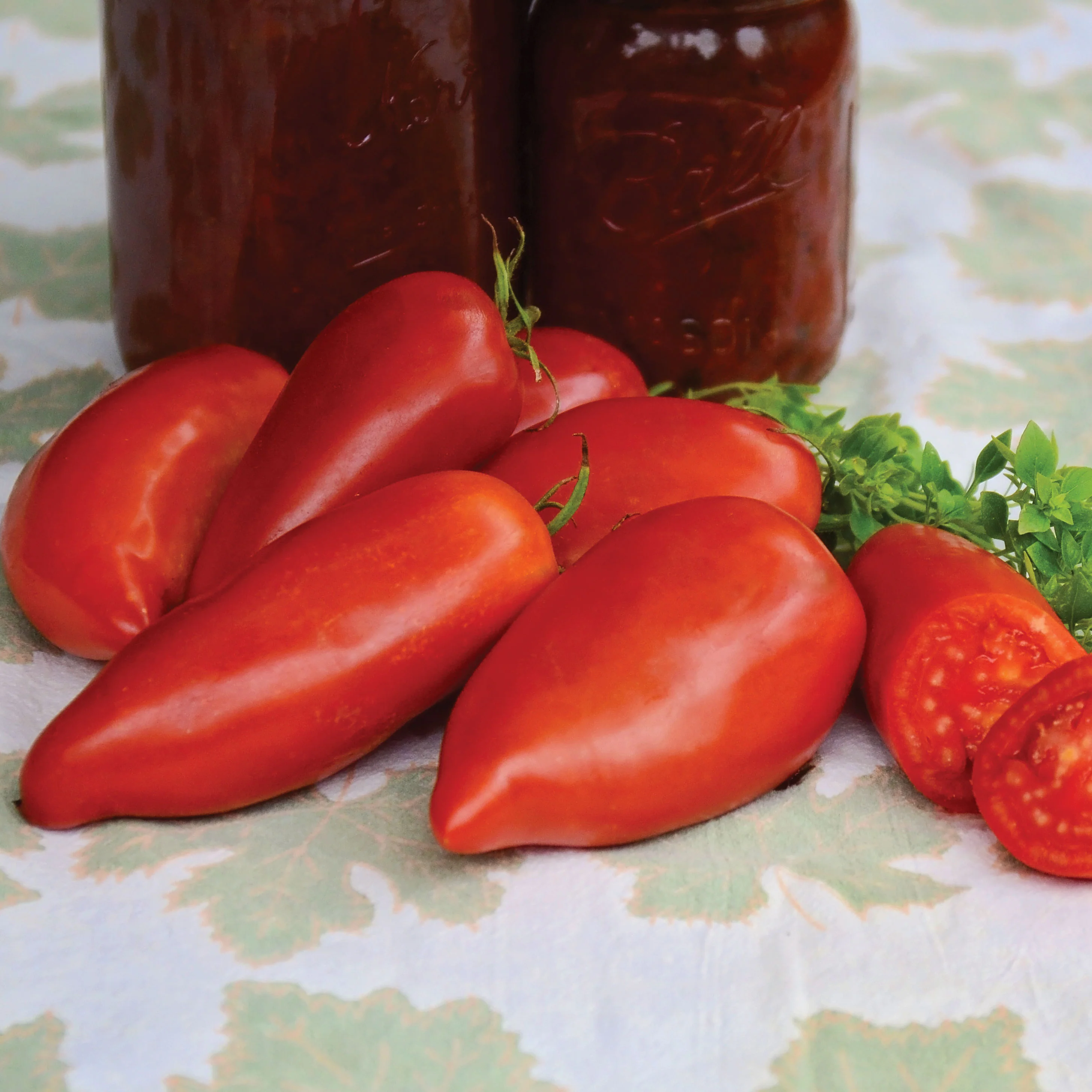 Jersey Devil Tomato