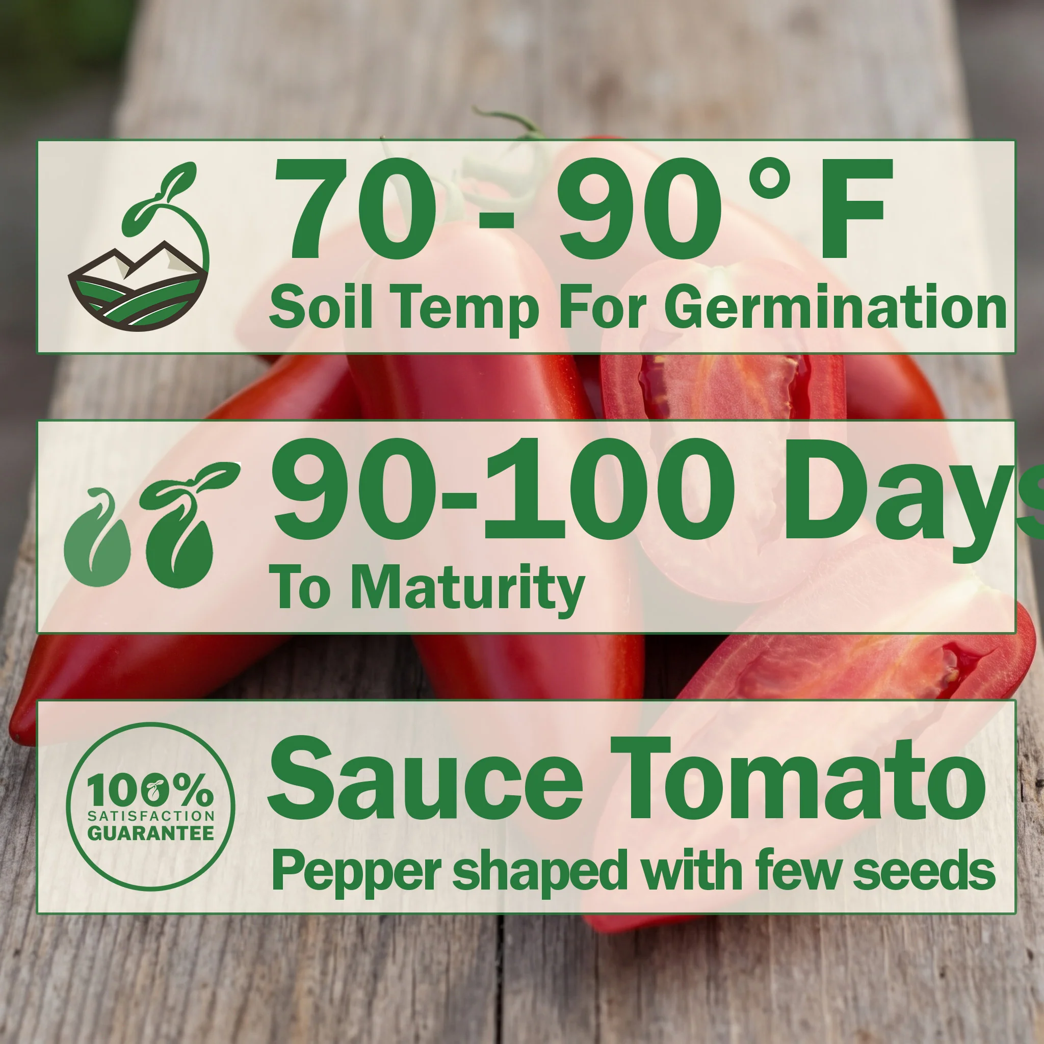Jersey Devil Tomato - Image 2