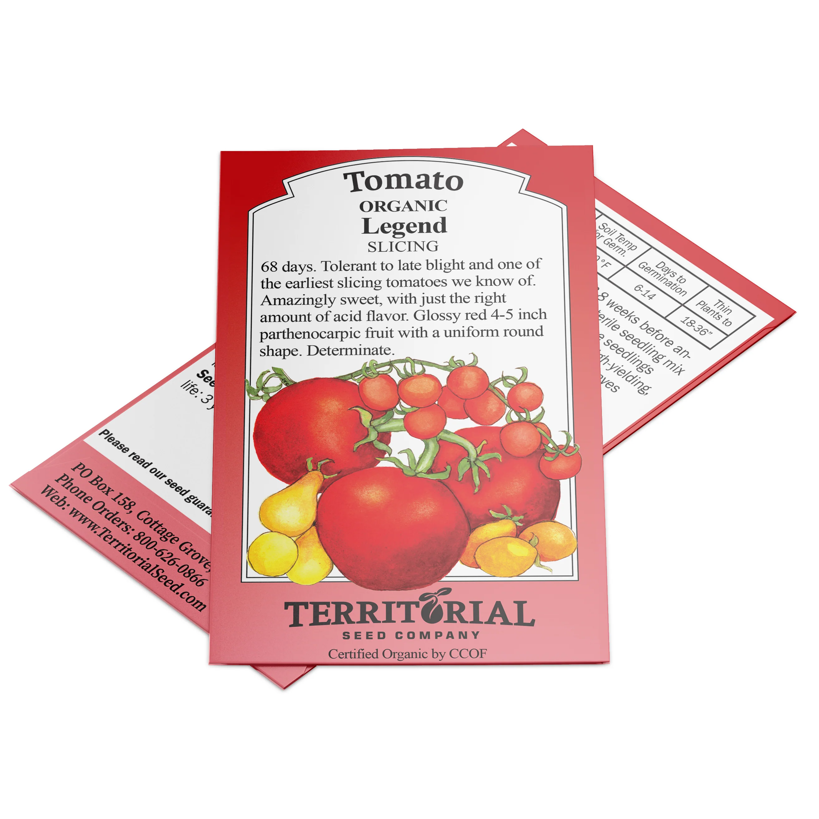 Legend Tomato - Image 4