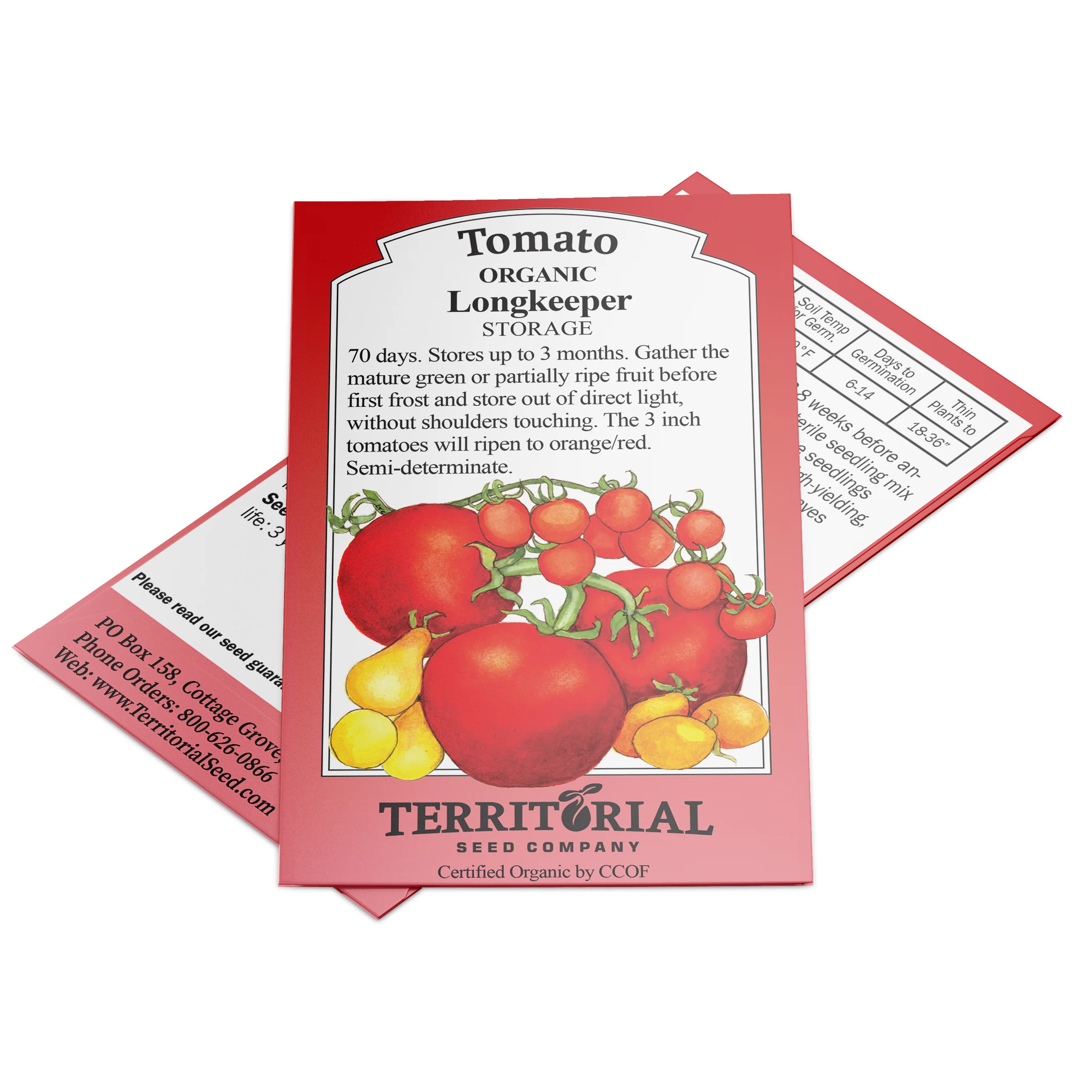 Longkeeper Tomato - Image 4
