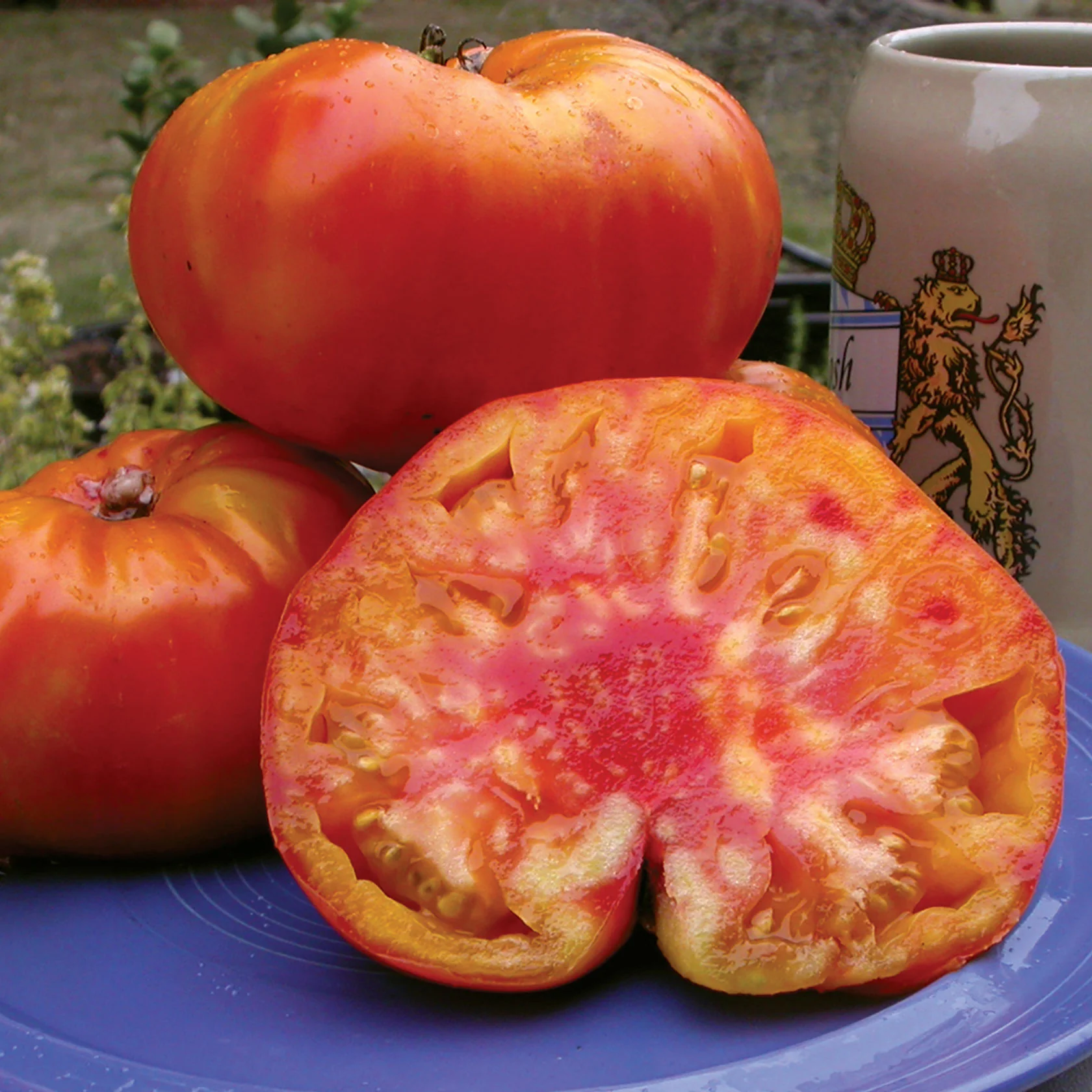 Old German Tomato - Image 3