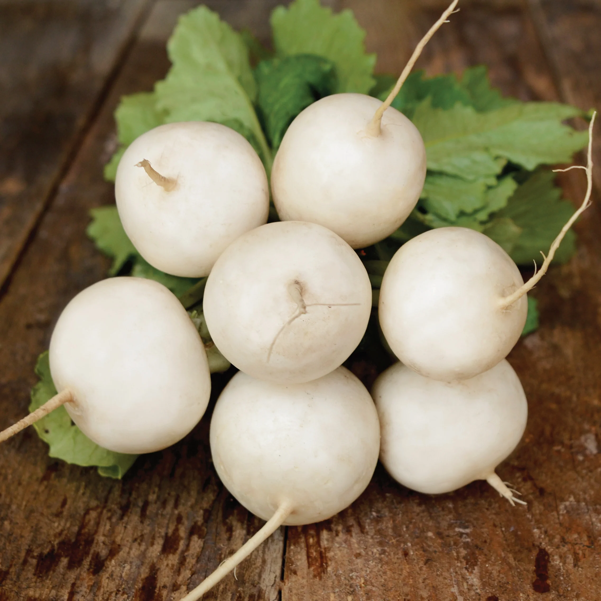 Hakurei Turnip